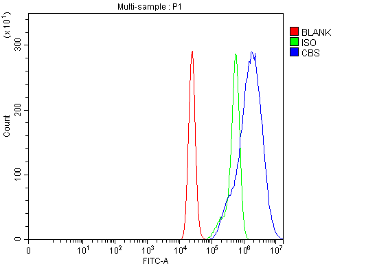 a00130 3 cbs primary antibodies fcm testing 3