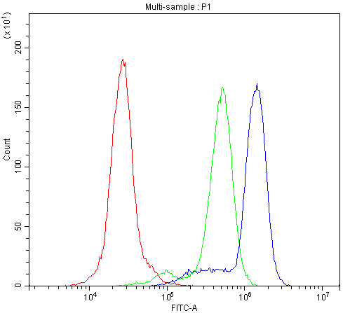 Flow Cytometry analysis of HL-60 cells using anti-CD11b antibody (A00144-1). Overlay histogram showing HL-60 cells stained with A00144-1 (Blue line).The cells were blocked with 10% normal goat serum. And then incubated with rabbit anti-CD11b Antibody (A00144-1,1μg/1x106 cells) for 30 min at 20°C. DyLight®488 conjugated goat anti-rabbit IgG (BA1127, 5-10μg/1x106 cells) was used as secondary antibody for 30 minutes at 20°C. Isotype control antibody (Green line) was rabbit IgG (1μg/1x106) used under the same conditions. Unlabelled sample (Red line) was also used as a control.