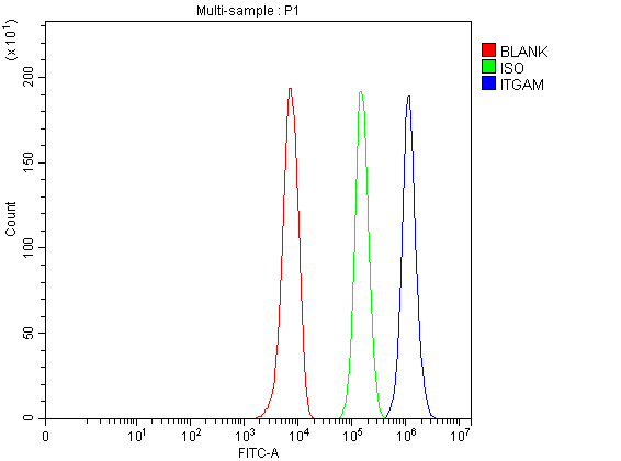  Flow Cytometry analysis of U937 cells using anti-CD11b antibody (A00144-1)