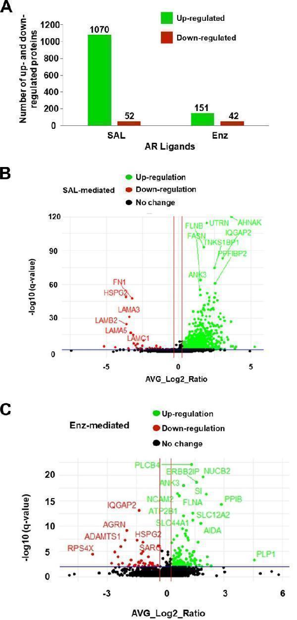a00146 12964_2024_1584_fig3_html