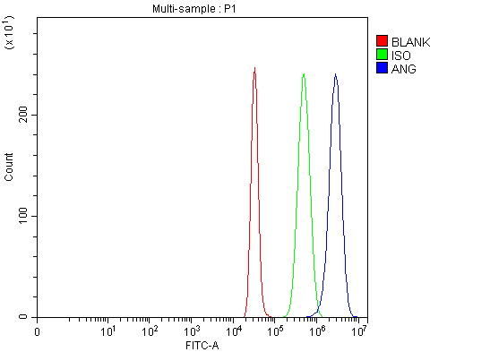 a00146 ang primary antibodies fcm testing 5