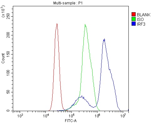  Flow Cytometry analysis of K562 cells using anti-IRF3 antibody (A00165-6)