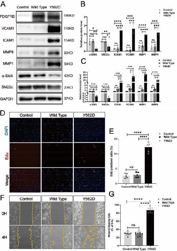 a00171 12929_2024_1040_fig3_html