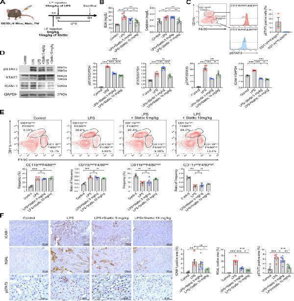 a00171 12964_2024_1841_fig2_html