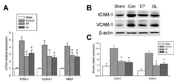 a00171 13054_2012_article_1742_fig3_html