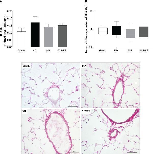 a00171 fimmu 15 1375943 g011