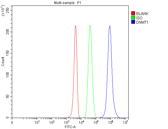 a00172 1 dnmt1 primary antibodies fcm testing 3