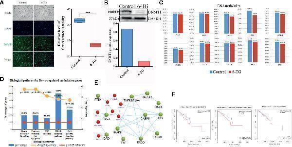 a00172 1 fonc 10 524922 g005