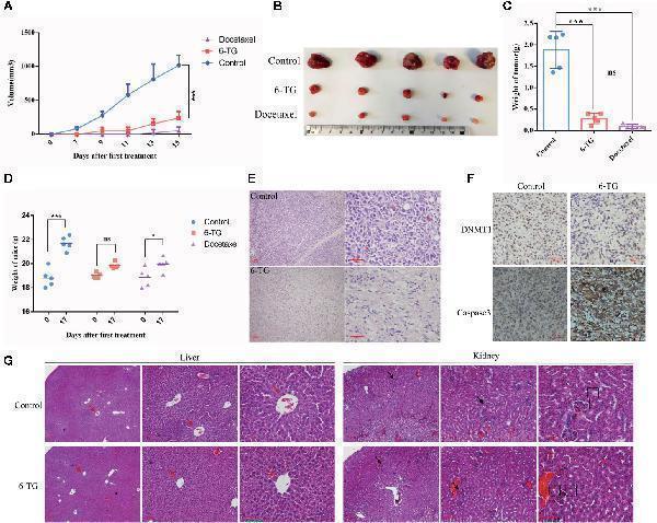 a00172 1 fonc 10 524922 g006