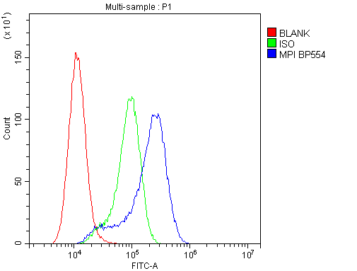 a00175 mpi primary antibodies fc testing 5