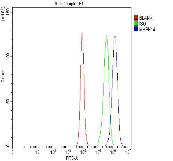 a00176 2 mapk14 primary antibodies fcm testing 6