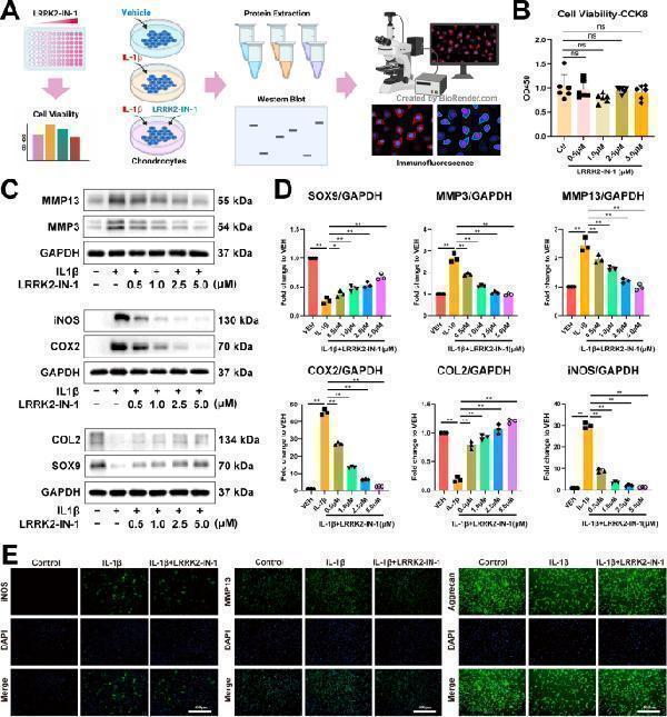 a00177 2 12951_2023_2050_fig1_html