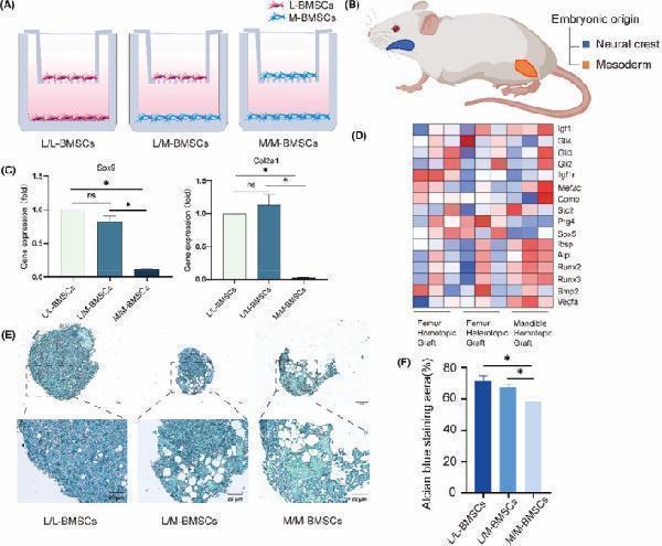 a00177 2 jcmm 28 e70140 g006