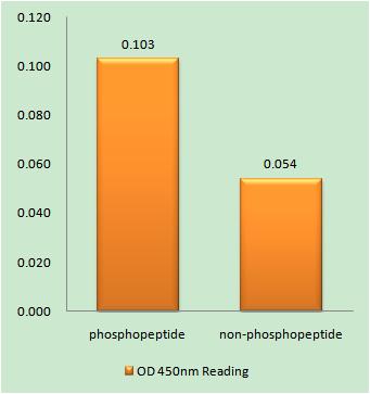 a00181t115 bcl2l1 primary antibodies elisa testing 1