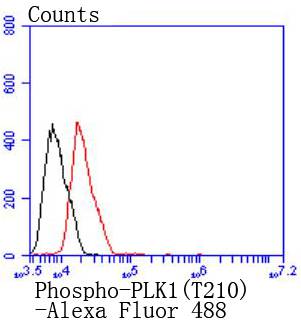 a00182t210 1 plk1 primary antiboties fcm testing 1