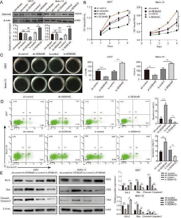 a00183 12967_2022_3500_fig2_html