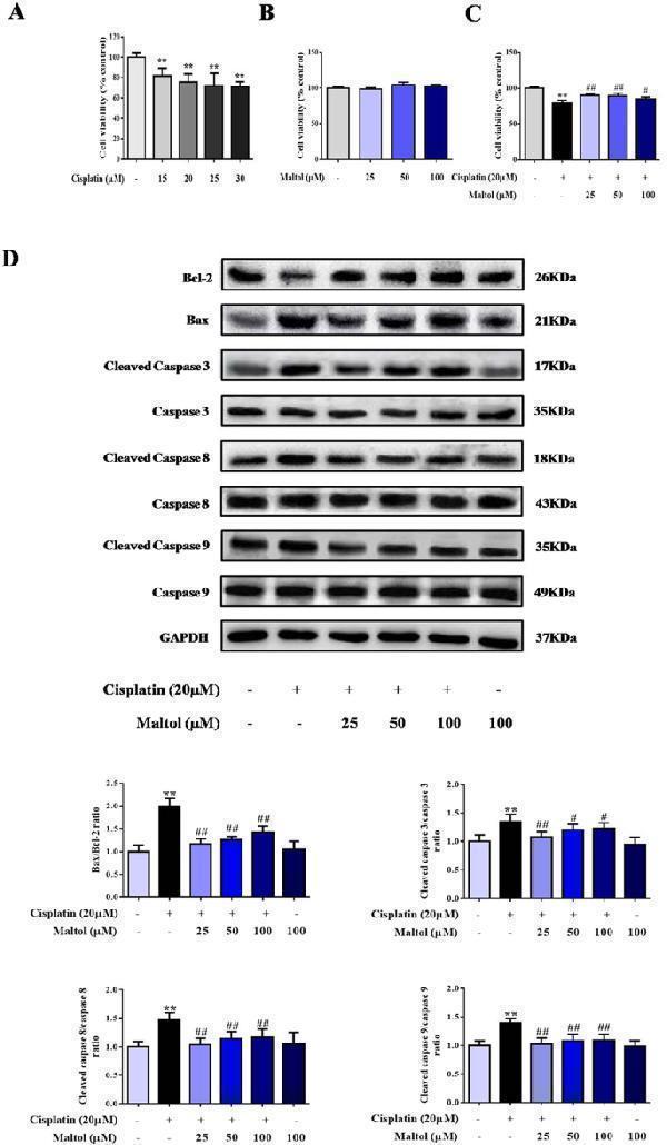 a00183 41598_2018_34156_fig5_html