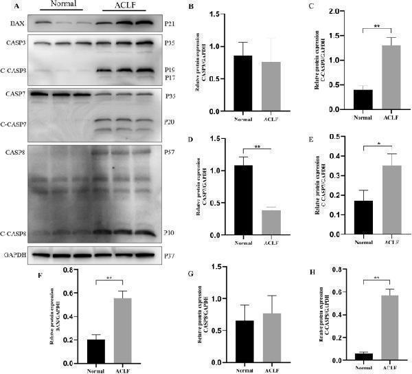a00183 41598_2023_50720_fig10_html