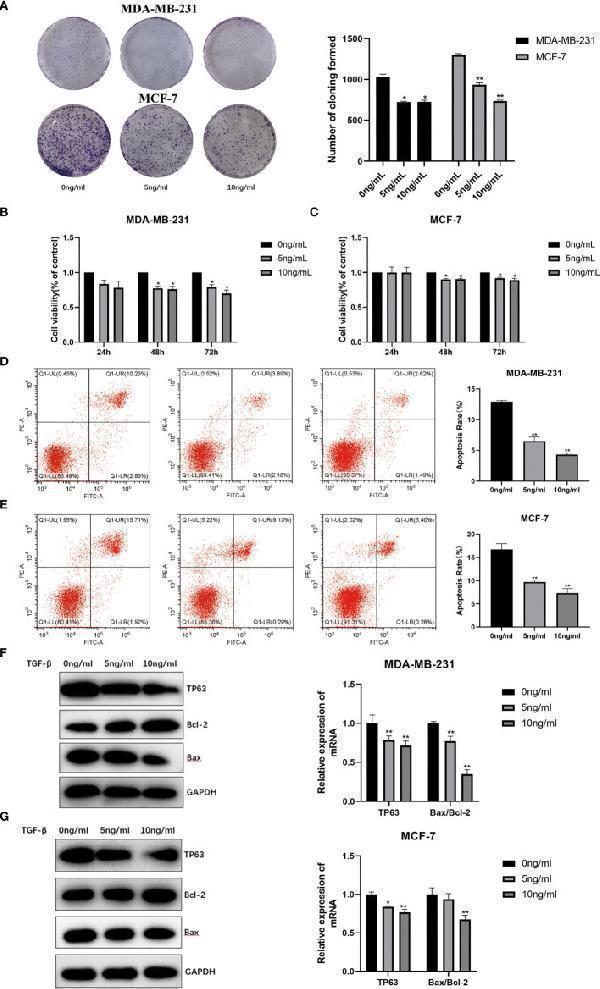 a00183 fonc 12 865067 g005