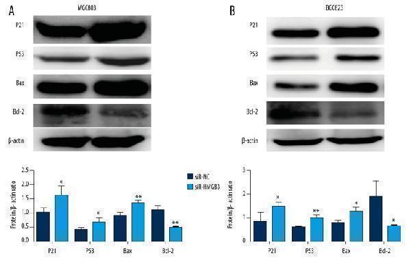 a00183 medscimonit 22 3951 g006