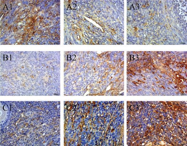 a00183 oncotarget 09 4475 g005
