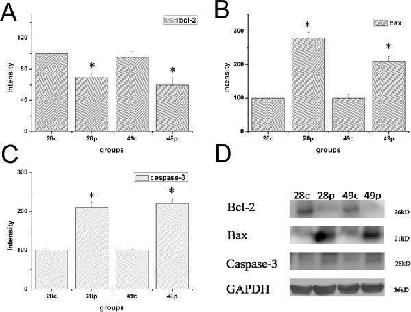 a00183 oncotarget 09 4475 g006