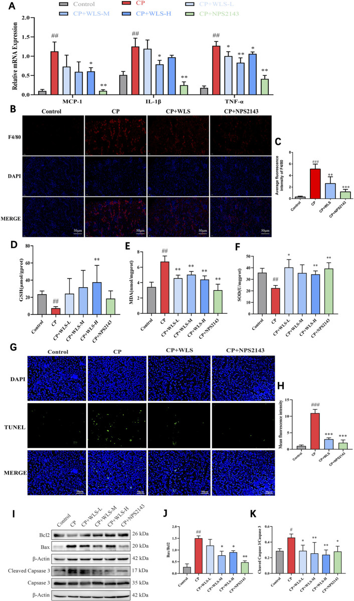 a00183 publication fphar 17 1824226 g003