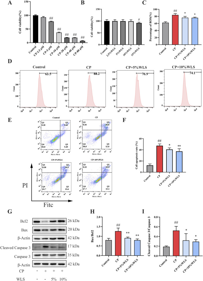 a00183 publication fphar 17 1824226 g004
