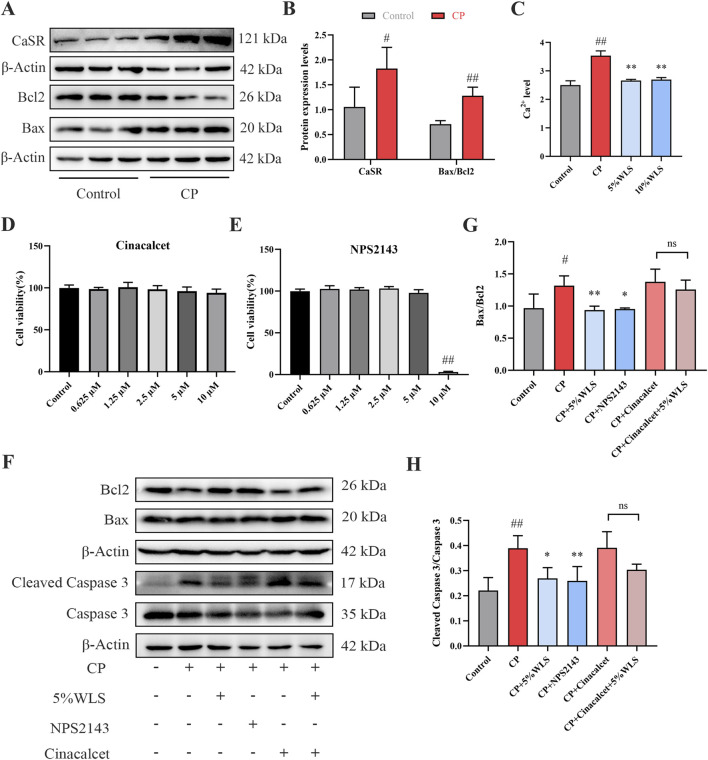 a00183 publication fphar 17 1824226 g006