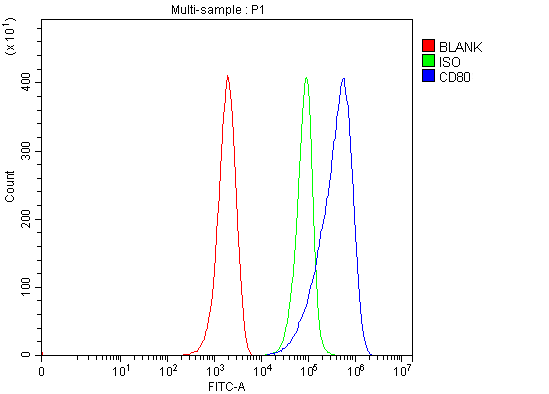  Flow Cytometry analysis of ANA-1 cells using anti-Cd80 antibody (A00196-3)