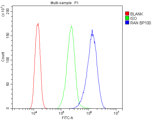a00204 1 ran primary antibodies fc testing 8