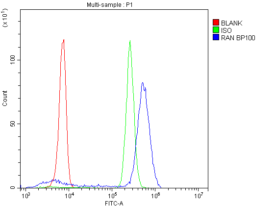 a00204 1 ran primary antibodies fc testing 9