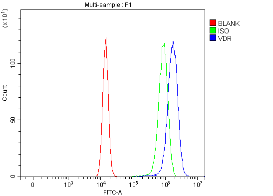  Flow Cytometry analysis of U20S cells using anti-Vitamin D Receptor/VDR antibody (A00210-1)