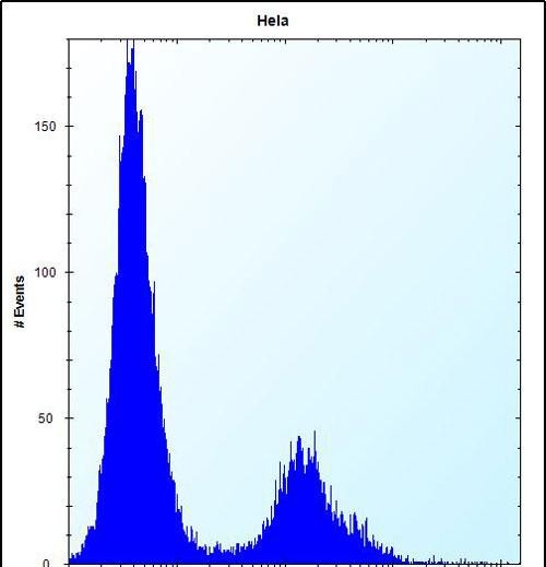 a00210 anti vdr antibody center fc testing 2