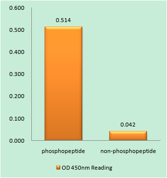a00213s38 1 gfap primary antibodies elisa testing 1