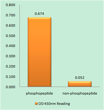 a00217t189 stk11 primary antibodies elisa testing 1