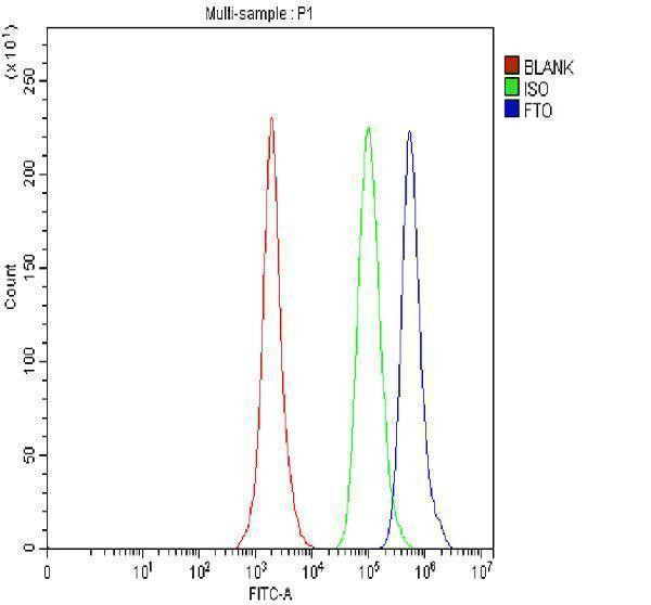 a00219 3 fto primary antibodies fcm testing 7