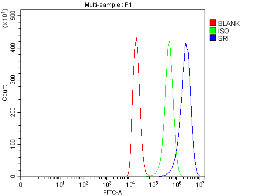  Flow Cytometry analysis of 293T cells using anti-SRI antibody (A00222-2)