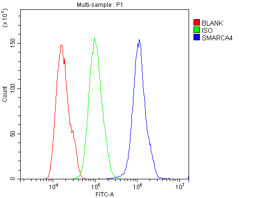 a00223 1 brg1 primary antibodies fc testing 7