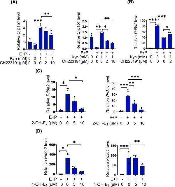 a00225 4 fcell 13 1622998 g005