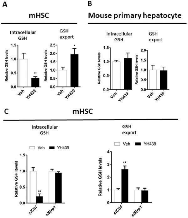 AHR reduces the antioxidant capacity of mHSCs