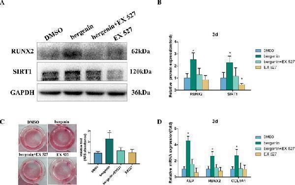 a00227 1 fphar 10 00618 g004