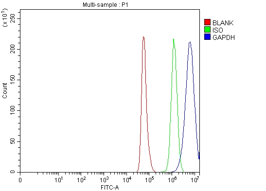 a00227 1 gapdh primary antibodies fcm testing 6