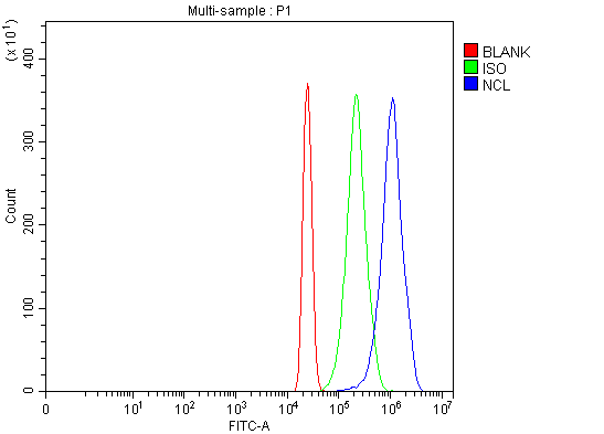 a00228 1 ncl primary antibodies fcm testing 6_1