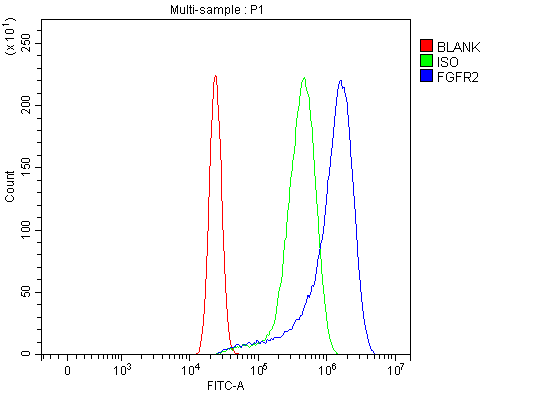  Flow Cytometry analysis of U20S cells using anti-FGFR2 antibody (A00231-3)