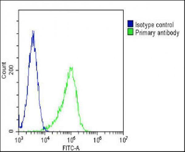 a00231 anti fgfr2 antibody n term fc testing 6