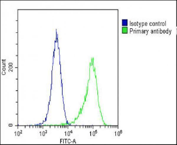 a00231 anti fgfr2 antibody n term fc testing 7