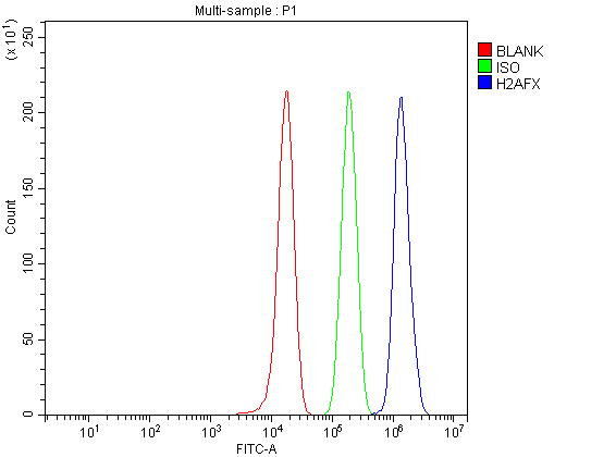 Figure 4. Flow Cytometry analysis of PC-3 cells using anti-H2AFX antibody (A00241-1). Overlay histogram showing PC-3 cells stained with A00241-1 (Blue line). To facilitate intracellular staining, cells were fixed with 4% paraformaldehyde and permeabilized with permeabilization buffer. The cells were blocked with 10% normal goat serum. And then incubated with rabbit anti-H2AFX Antibody (A00241-1, 1 microg/1x106 cells) for 30 min at 20°C. DyLight®488 conjugated goat anti-rabbit IgG (BA1127, 5-10 microg/1x106 cells) was used as secondary antibody for 30 minutes at 20°C. Isotype control antibody (Green line) was rabbit IgG (1 microg/1x106) used under the same conditions. Unlabelled sample without incubation with primary antibody and secondary antibody (Red line) was used as a blank control.