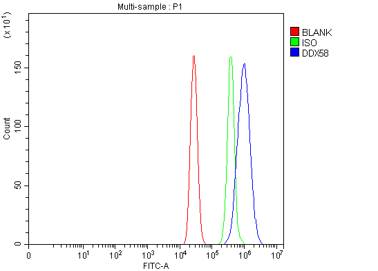 a00244 3 ddx58 primary antibodies fcm testing 12