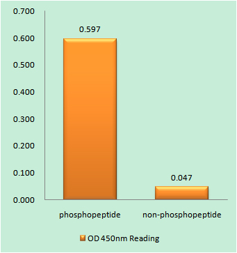 a00245y223 btk primary antibodies elisa testing 1